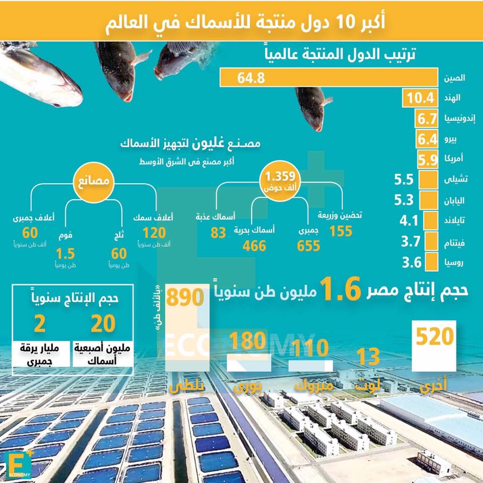 بالأرقام.. أكبر ١٠ دول منتجة للأسماك في العالم