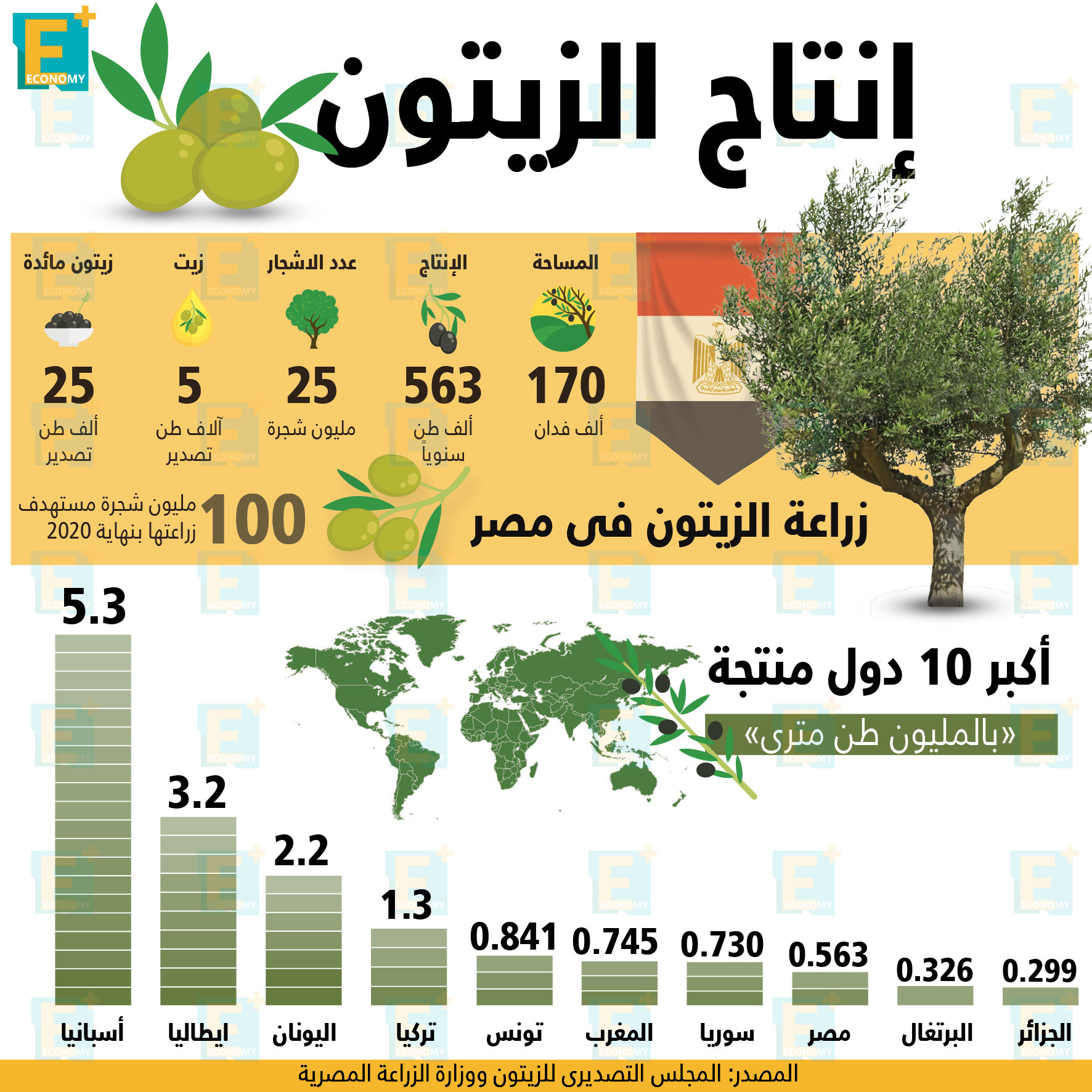 إنتاج الزيتون بالأرقام