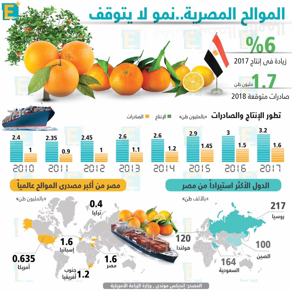 الموالح المصرية في أرقام