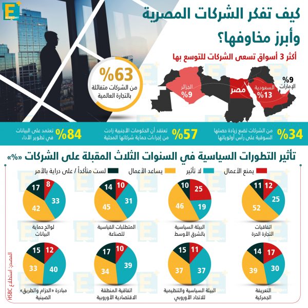 كيف تفكر الشركات المصرية وأبرز مخاوفها؟