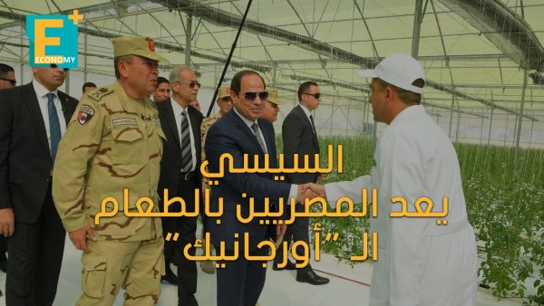 السيسي يعد المصريين بالطعام الـ “أورجانيك”