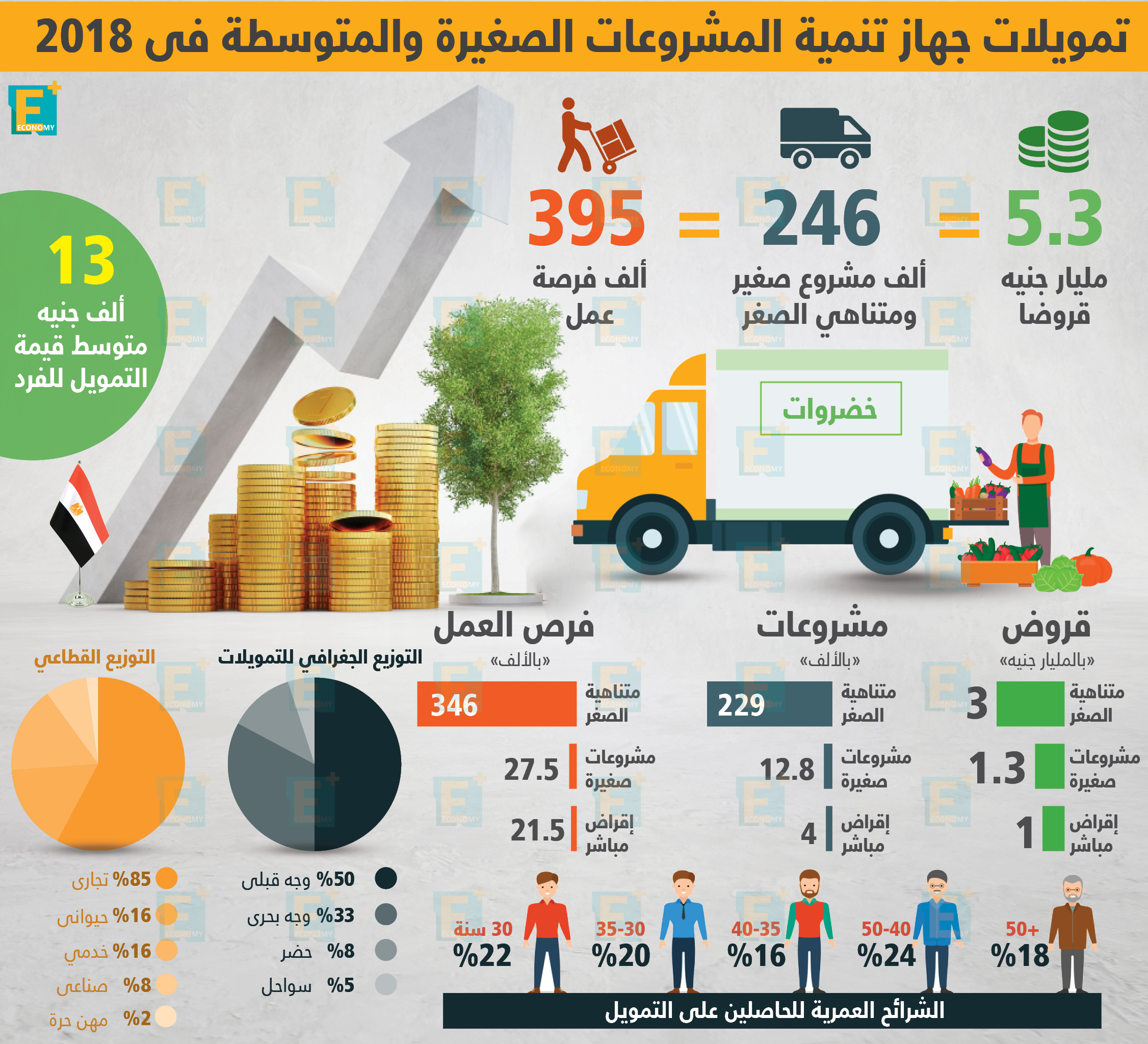 تمويلات جهاز تنمية المشروعات الصغيرة والمتوسطة فى 2018