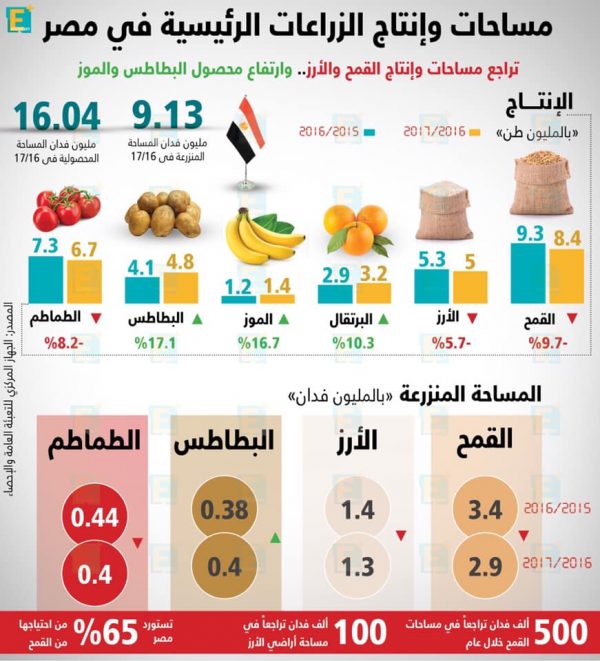 مساحات وإنتاج الزراعات الرئيسية في مصر