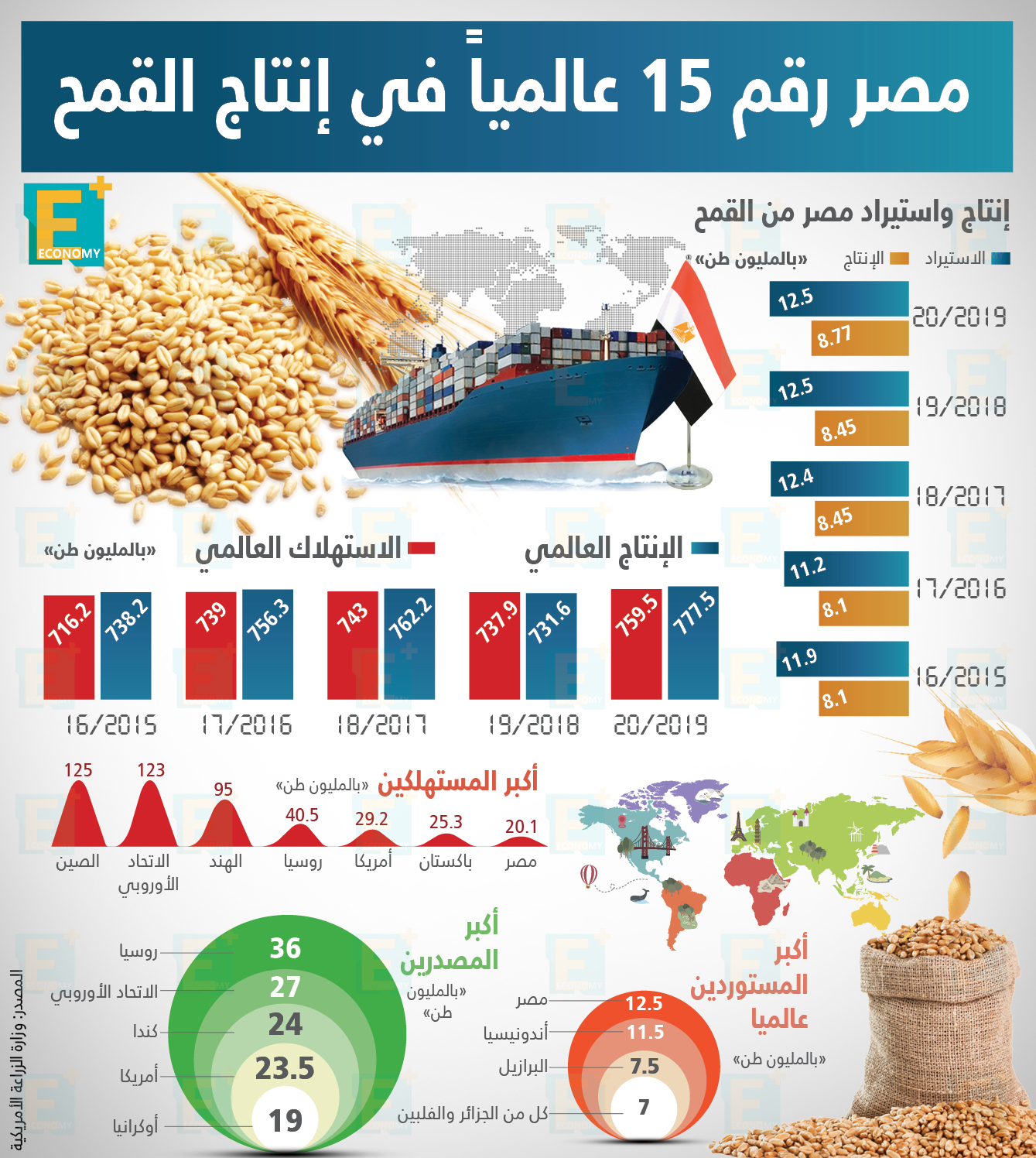 مصر رقم 15 عالمياً في إنتاج القمح "إنفوجراف"