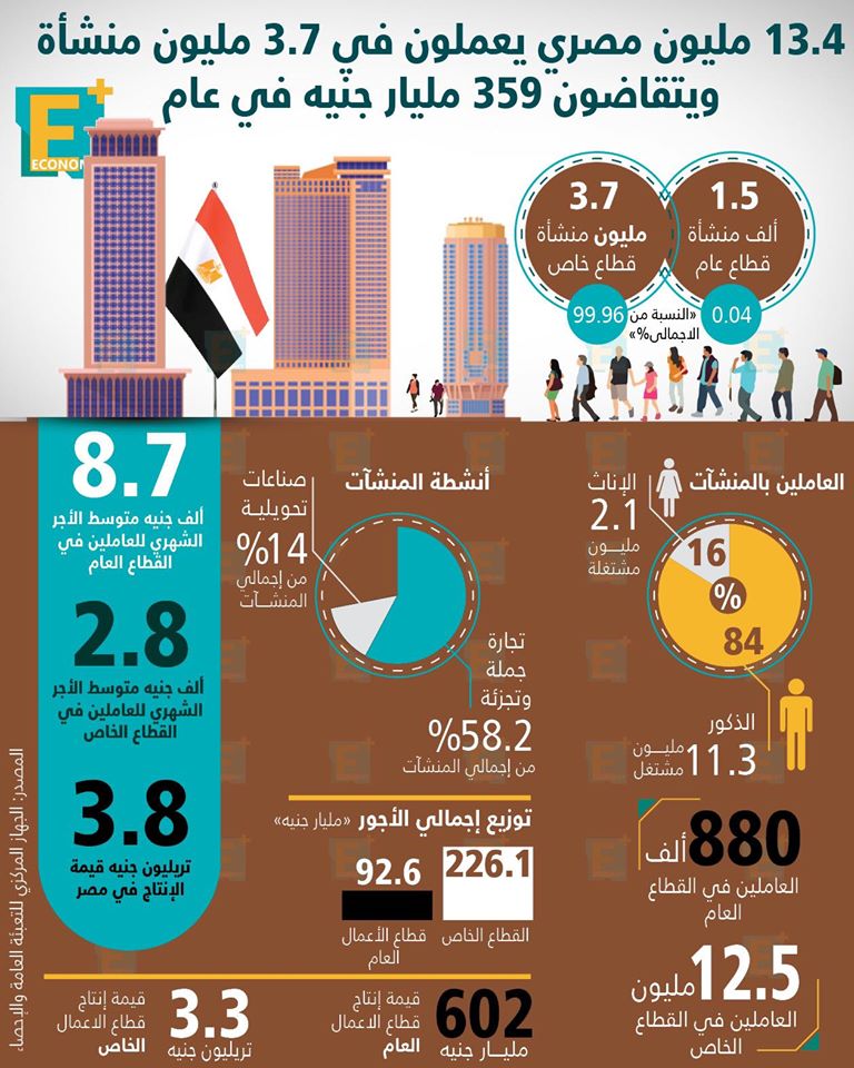 13.4 مليون مصري يعملون في 3.7 مليون منشأة