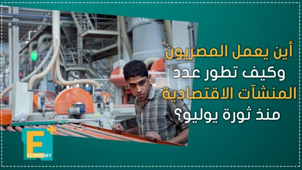 أين يعمل المصريون وكيف تطور عدد المنشآت الاقتصادية منذ ثورة يوليو؟