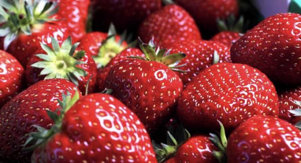 “مصر” الأولي عالميا في تصدير الفراولة المجمدة