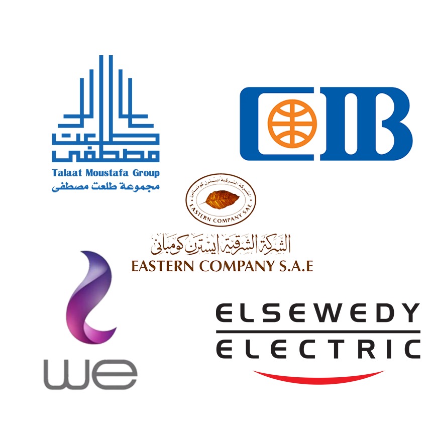 5 شركات مصرية