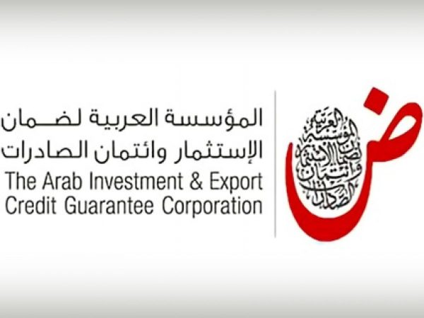 بينها مصر.. ثلاث دول عربية تقتنص 65% من الاستثمار الأجنبي المباشر بالمنطقة