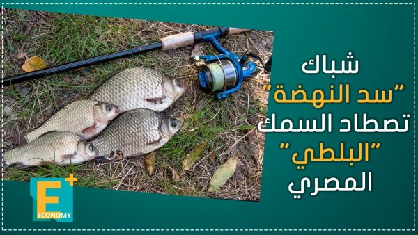 شباك “سد النهضة” تصطاد السمك “البلطي” المصري