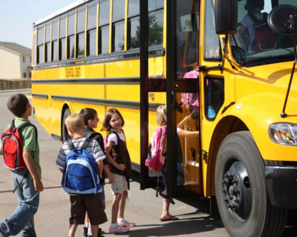 حماية المستهلك: 65% استجابة المدارس برد 25% من مصروفات الباص المدرسي