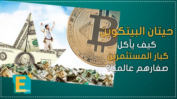 حيتان البيتكوين.. كيف يأكل كبار المستثمرين صغارهم عالميًا؟