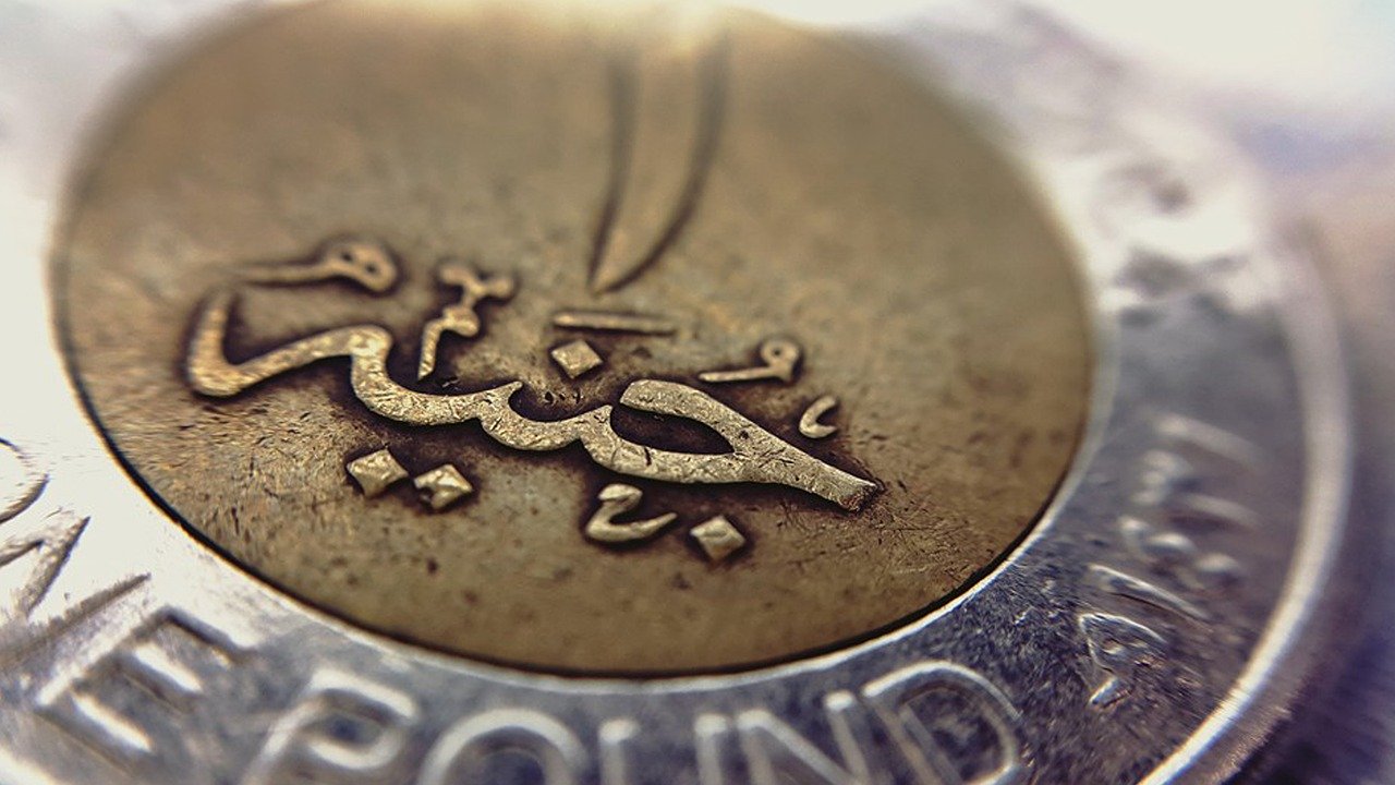 المالية