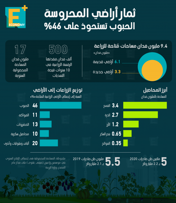 ثمار أراضي المحروسة.. الحبوب تستحوذ على 46%‎‎