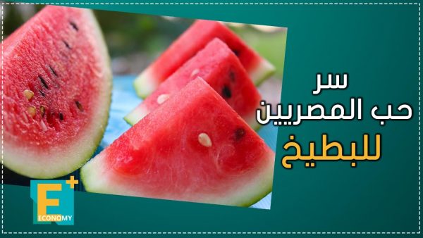 سر حب المصريين للبطيخ