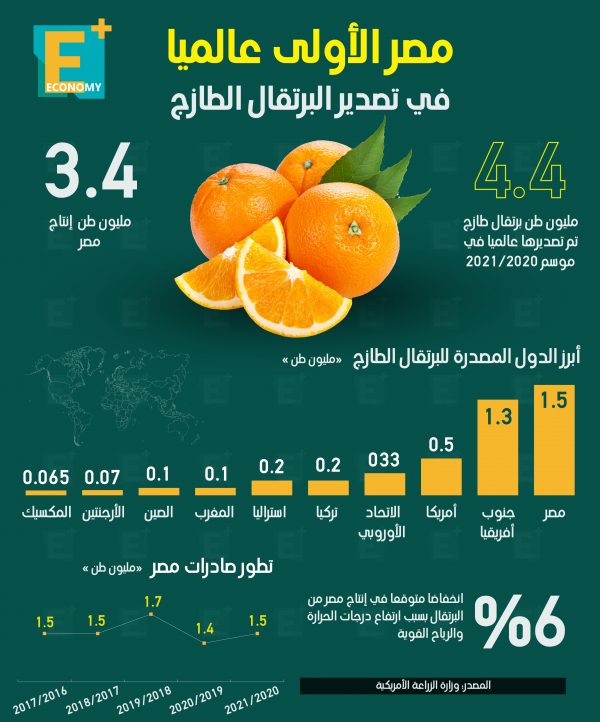 مصر الأولى عالميًا في تصدير البرتقال الطازج