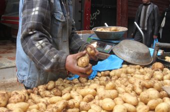 البطاطس المصرية تسيطر على السوق الروسي 