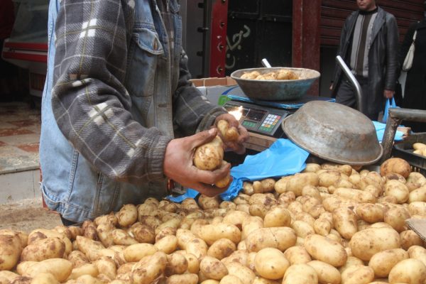 البطاطس المصرية تسيطر على السوق الروسي 