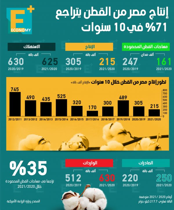 إنتاج مصر من القطن يتراجع 71% خلال 10 سنوات