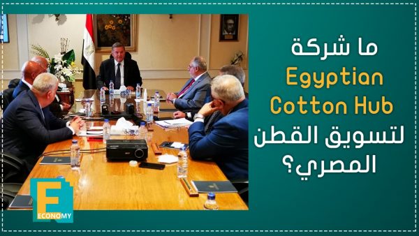 ما شركة “Egyptian Cotton Hub” لتسويق القطن المصري؟