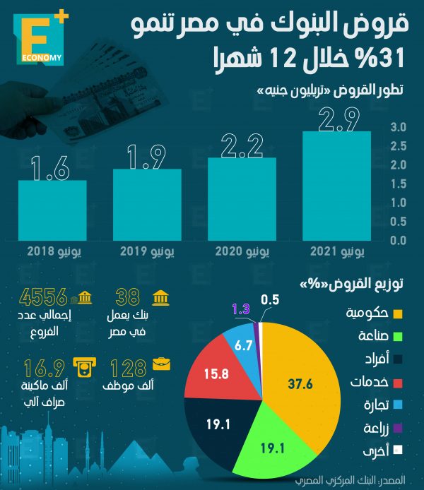 قروض البنوك في مصر تنمو 31% خلال 12 شهرا