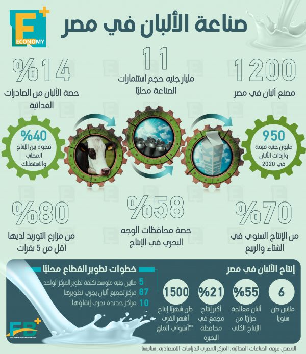 صادرات الألبان المصرية تستحوذ على 14% من الصادرات الغذائية