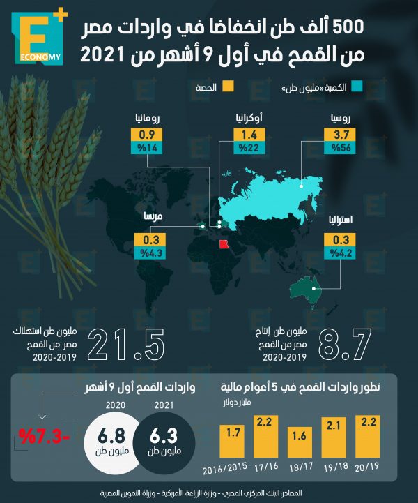 500 ألف طن انخفاضا في واردات مصر من القمح خلال أول 9 أشهر من 2021