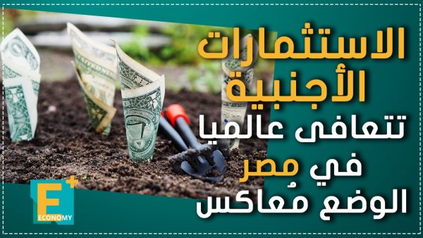 الاستثمارات الأجنبية تتعافى عالميا.. في مصر الوضع مُعاكس