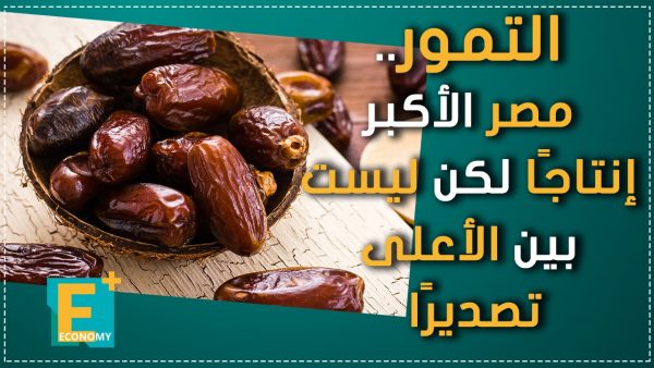 التمور.. مصر الأكبر إنتاجا لكن ليست بين الأعلى تصديرا