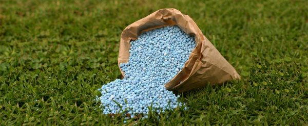 مصر تدرس طرح حصة إضافية من “أبو قير للأسمدة” في البورصة خلال شهر