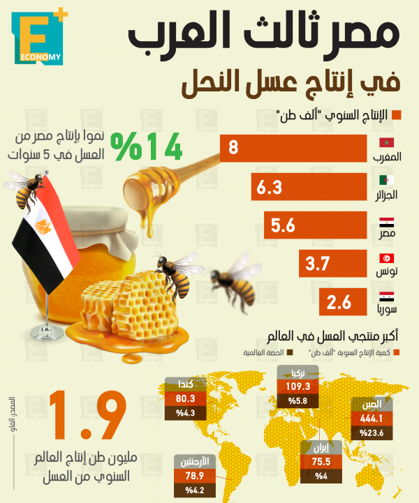 مصر ثالث العرب في إنتاج عسل النحل