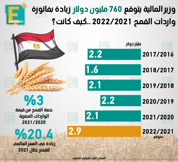 وزير المالية يتوقع 760 مليون دولار زيادة بفاتورة واردات القمح 2021/2022 ..كيف كانت؟