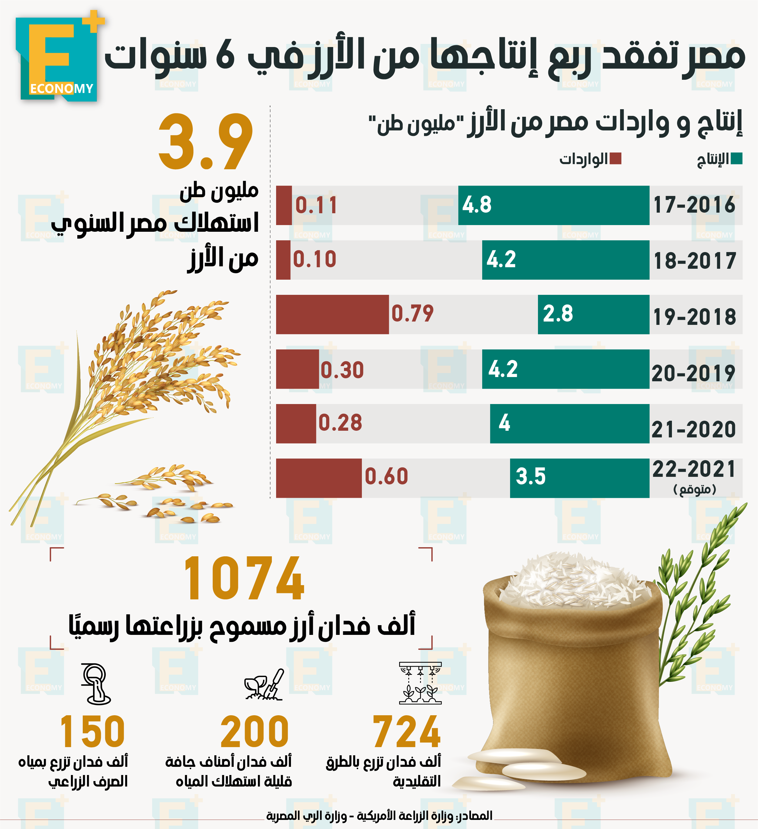 مصر تفقد ربع إنتاجها من الأرز في 6 سنوات