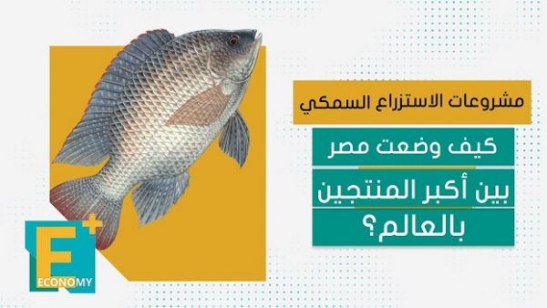مشروعات الاستزراع السمكي.. كيف وضعت مصر بين أكبر المنتجين بالعالم؟
