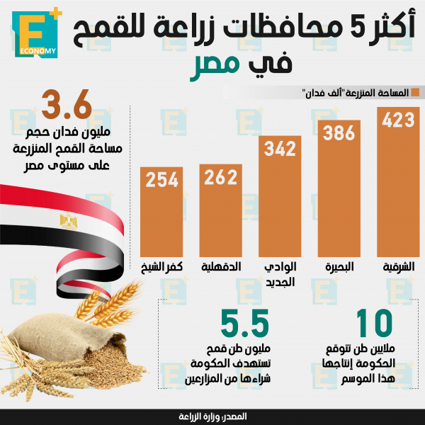 أكثر 5 محافظات زراعة للقمح في مصر