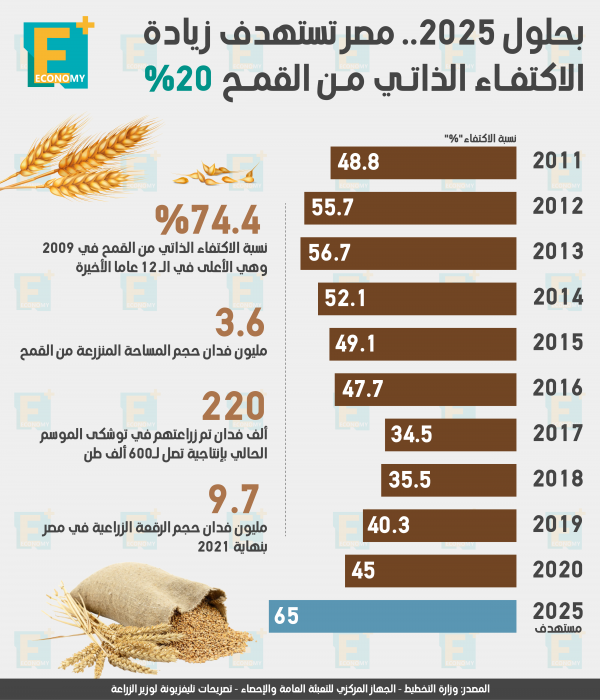 بحلول 2025.. مصر تستهدف زيادة الاكتفاء الذاتي من القمح 20%