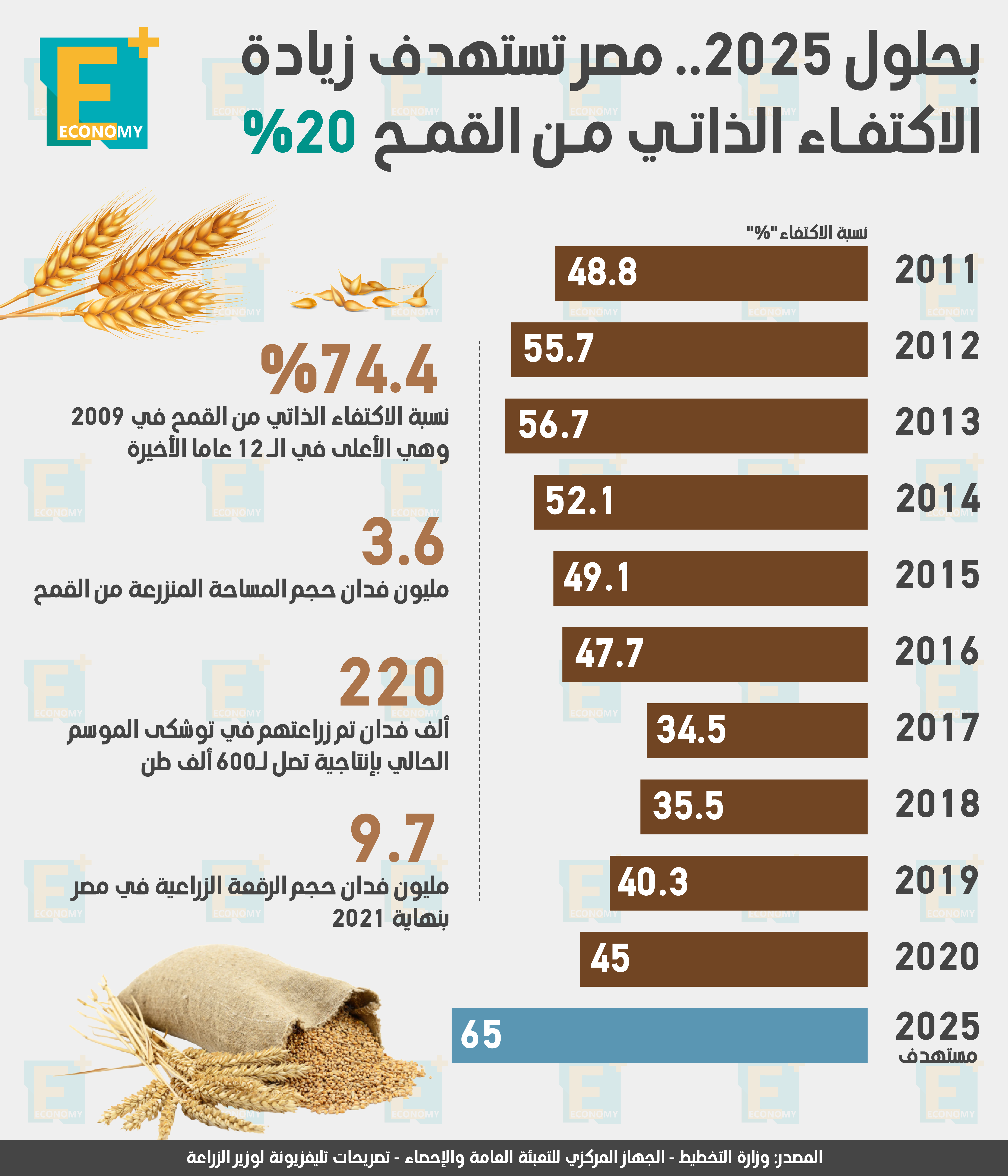 بحلول 2025.. مصر تستهدف زيادة الاكتفاء الذاتي من القمح 20%