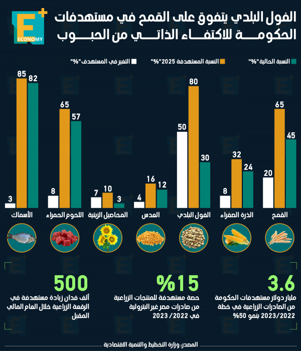 الفول البلدي يتفوق على القمح في مستهدفات الحكومة للاكتفاء الذاتي من الحبوب