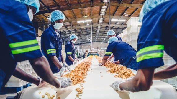 ضمانًا للسلامة.. 3 شروط جديدة تطلبها “الكويت” لقبول “الأغذية المصرية”