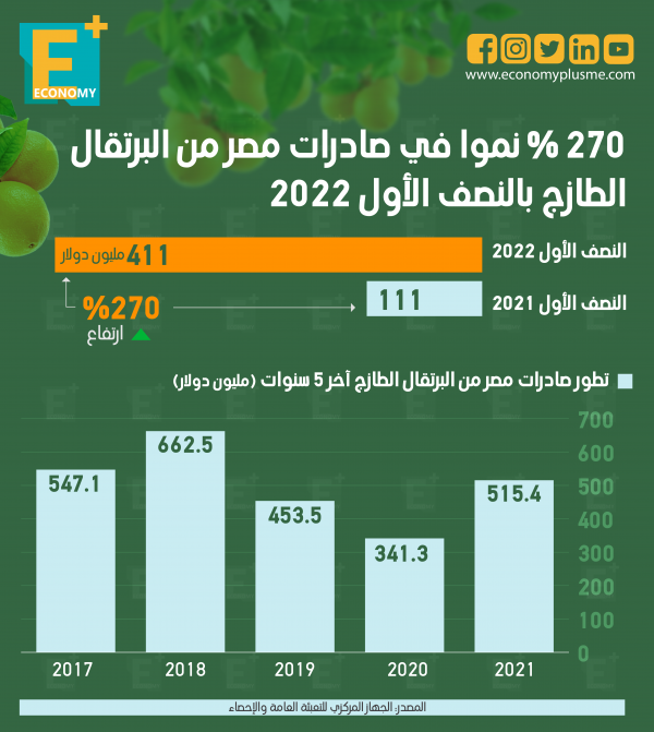 270 % نموا في صادرات مصر من البرتقال النصف الأول 2022