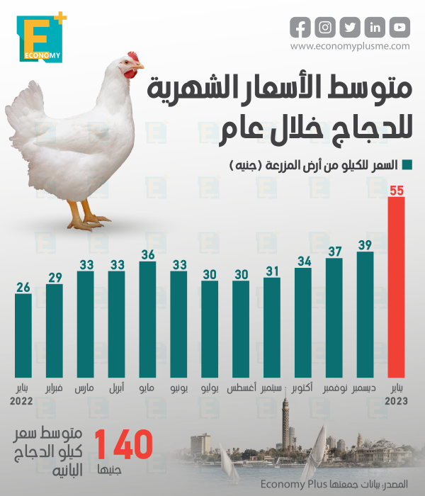 متوسط الأسعار الشهرية للدجاج خلال عام