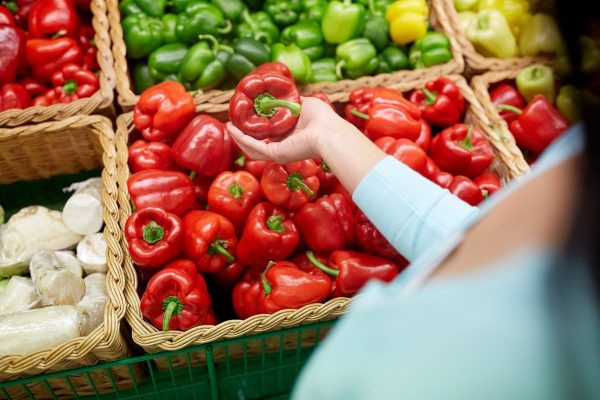 مصر تبحث استنباط سلالات جديدة لـ”الفلفل والفاصوليا والباذنجان” مع هولندا