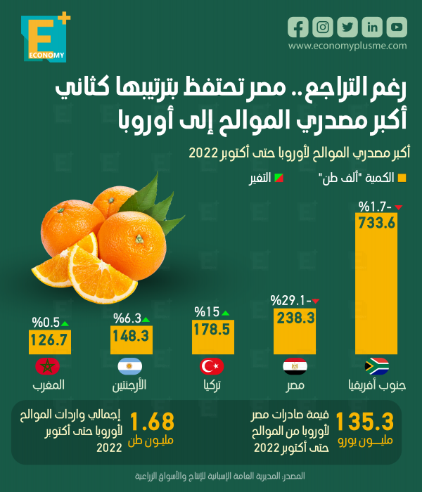 رغم التراجع.. مصر تحتفظ بترتيبها كثاني أكبر مصدري الموالح إلى أوروبا