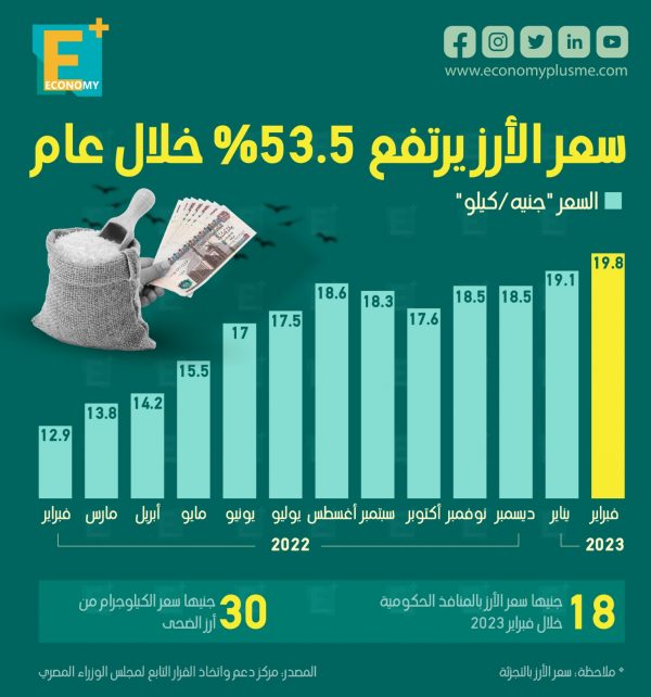 سعر الأرز يرتفع 53.5 % خلال عام