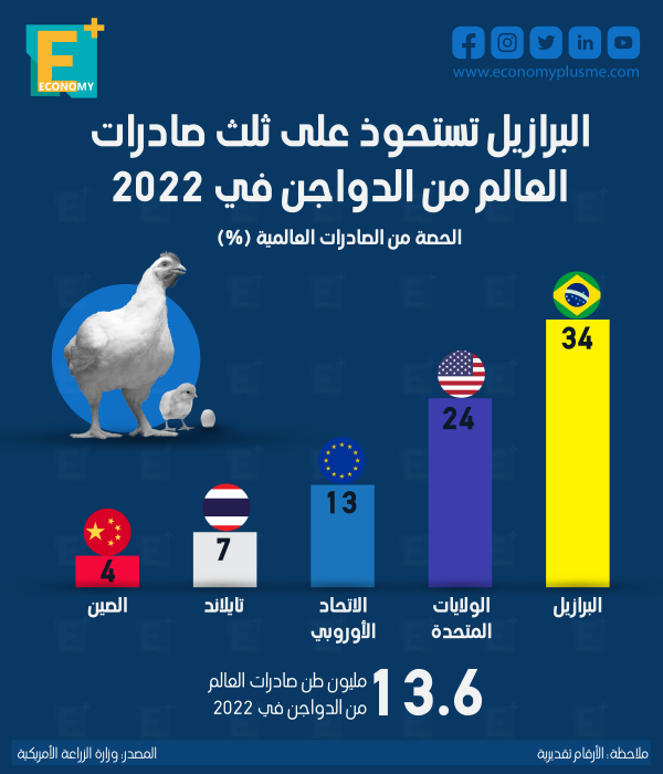 البرازيل تستحوذ على ثلث صادرات العالم من الدواجن في 2022