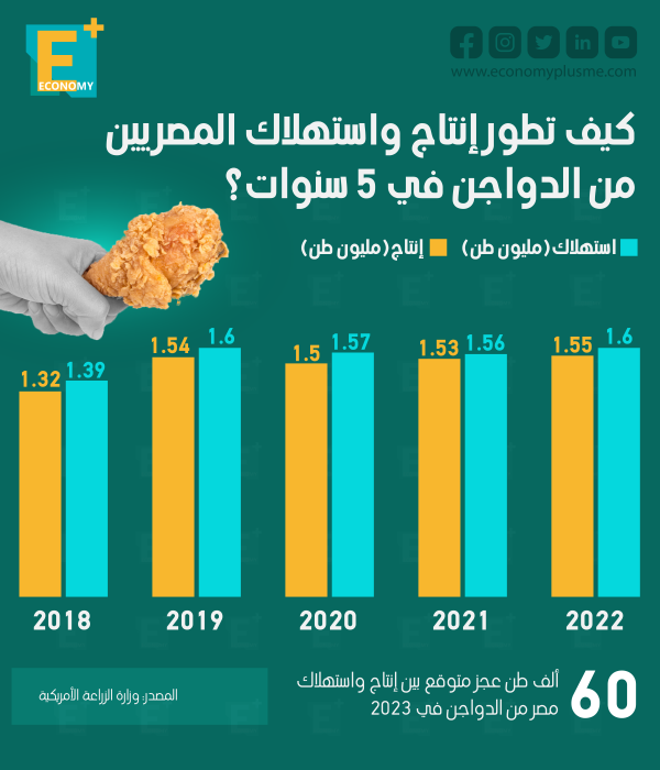 كيف تطور إنتاج واستهلاك المصريين من الدواجن في 5 سنوات؟