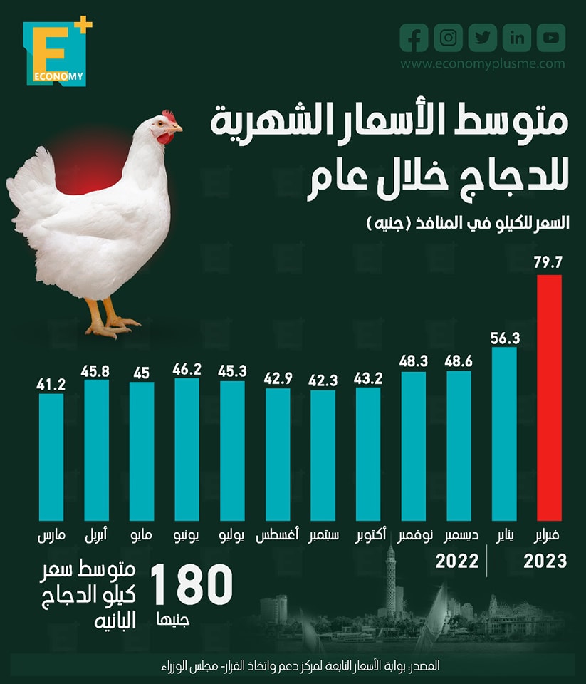 بالأرقام.. الأسعار الشهرية للدجاج خلال عام