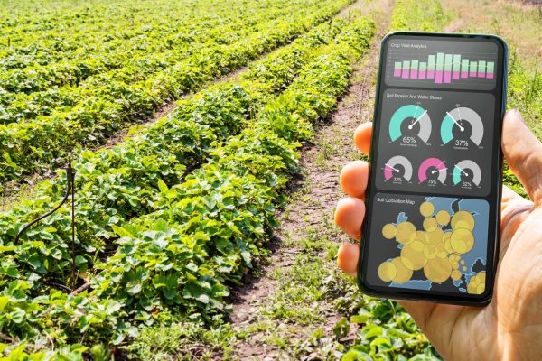 مصر تطالب بوضع مبادرة “FAST” الغذائية والزراعية على أولويات قمة المناخ “COP28”