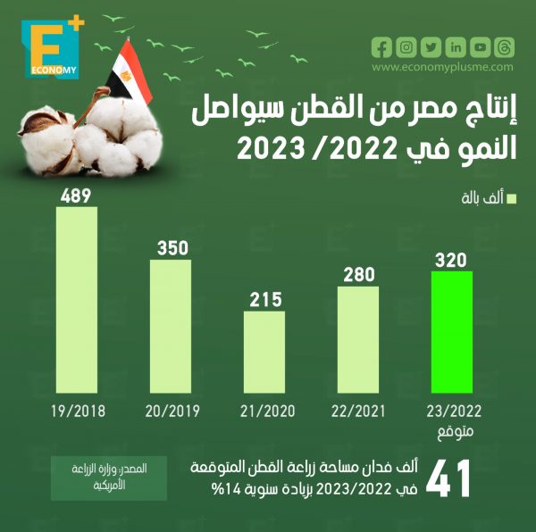 إنتاج مصر من القطن سيواصل النمو في 2022 / 2023