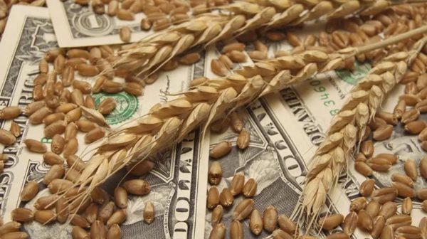 كم اقترضت مصر لتمويل شراء غذائها في 17 شهرًا؟.. إنتاج “شيكولاته كيندر” يتوقف مؤقتًا